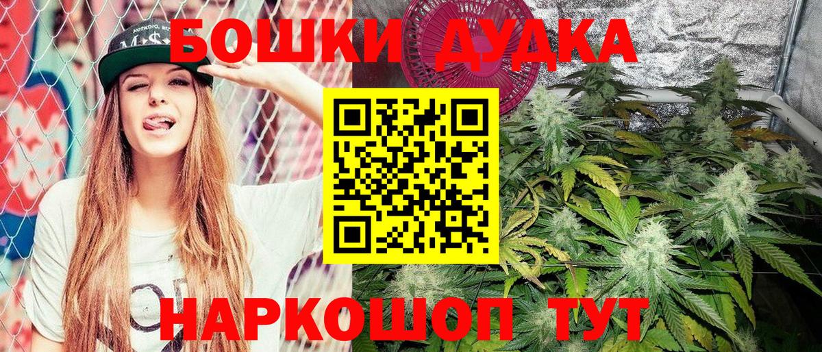 МАРИХУАНА план  Вход с VPN  МАРИХУАНА OG Kush  Бошки марихуана семена  Губкин 